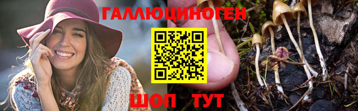 Галлюциногенные грибы прущие грибы Миасс